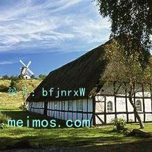 ʵ